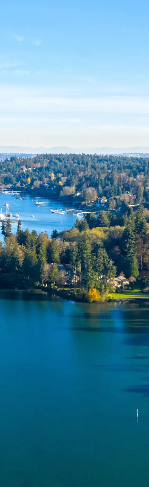Bainbridge Island Panoramic Aerial Birds Eye View