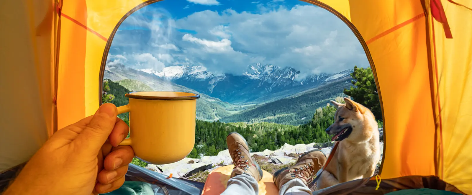 man laying down in camping tent with his dog looking out at the mountain view